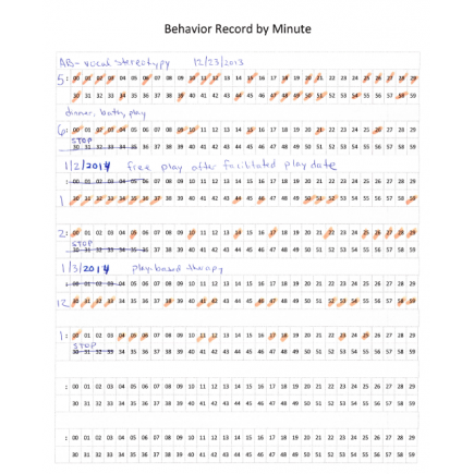 Behavior Record by Minute for Measuring High Frequency Behaviors